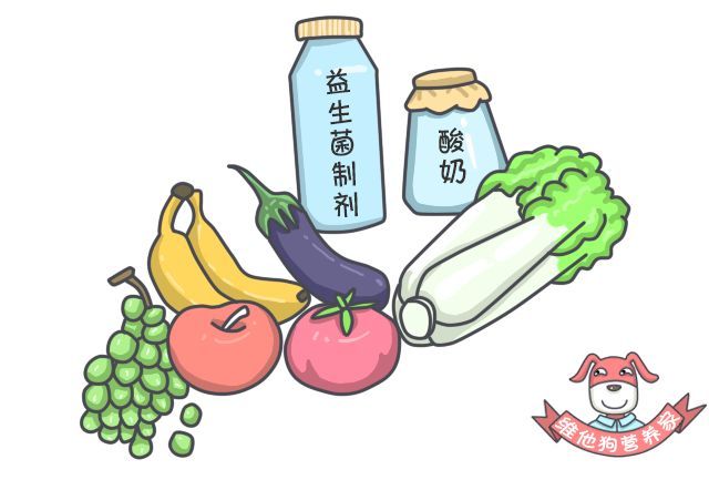 抗生素什么时候服用最好,抗生素什么时候起效果