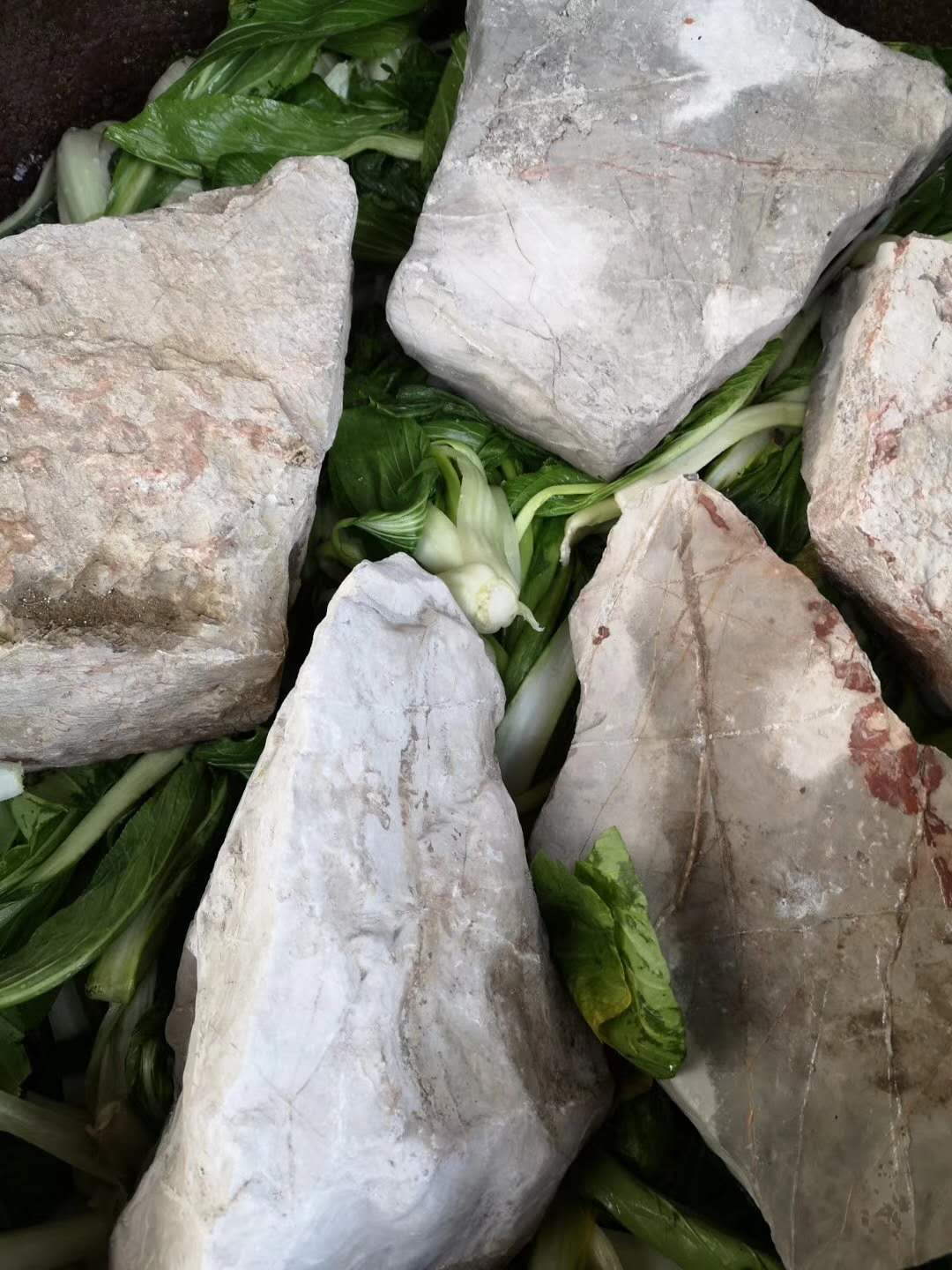 吃腌菜,有助于提高我们身体战胜疫情的免疫力?文/王珉