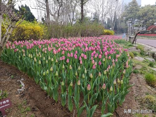 日照旅游渔家乐住宿别墅,日照渔民开的渔家乐