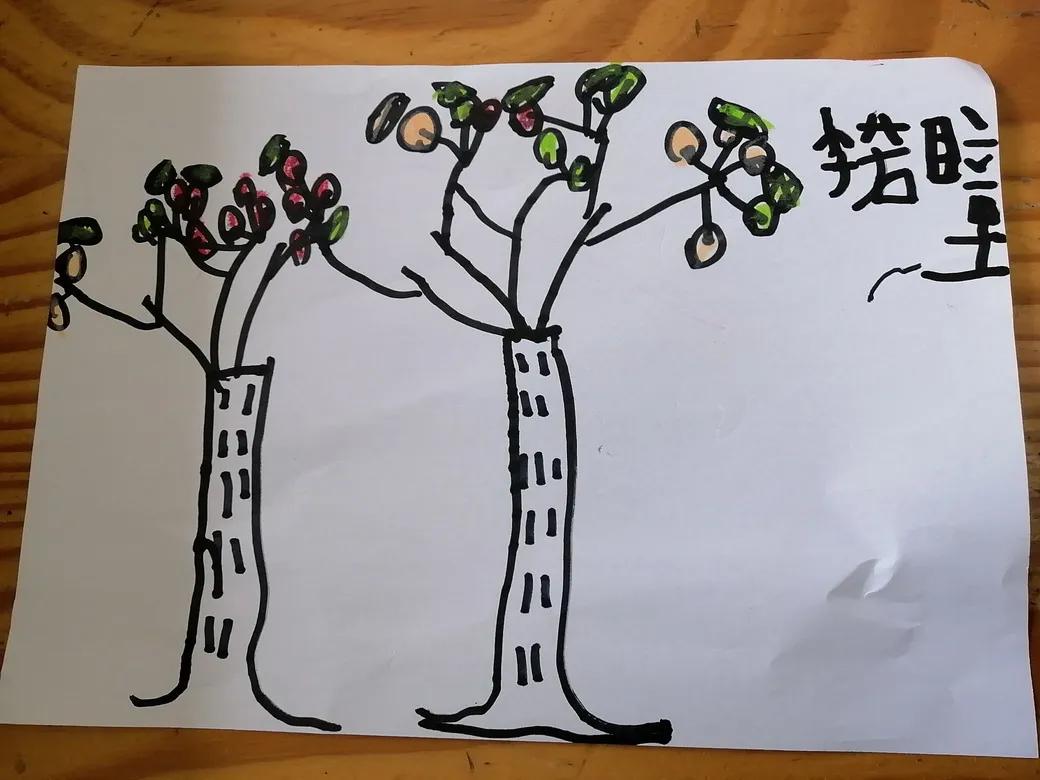 成都市双流区胜利幼儿园主题活动,天府新区幼儿园活动