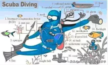 34张图教你记住英语中所有生活用词！