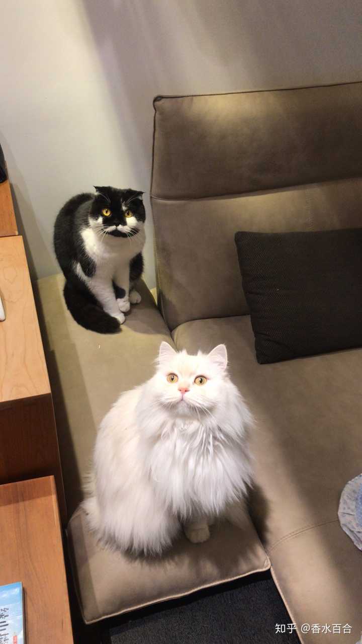 买了高层的人怎么样了,买了顶楼的房子后悔了吗