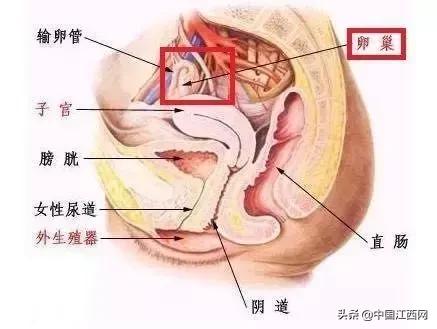 女子按摩两个月后乳腺癌晚期,女子乳腺癌晚期美容院按摩