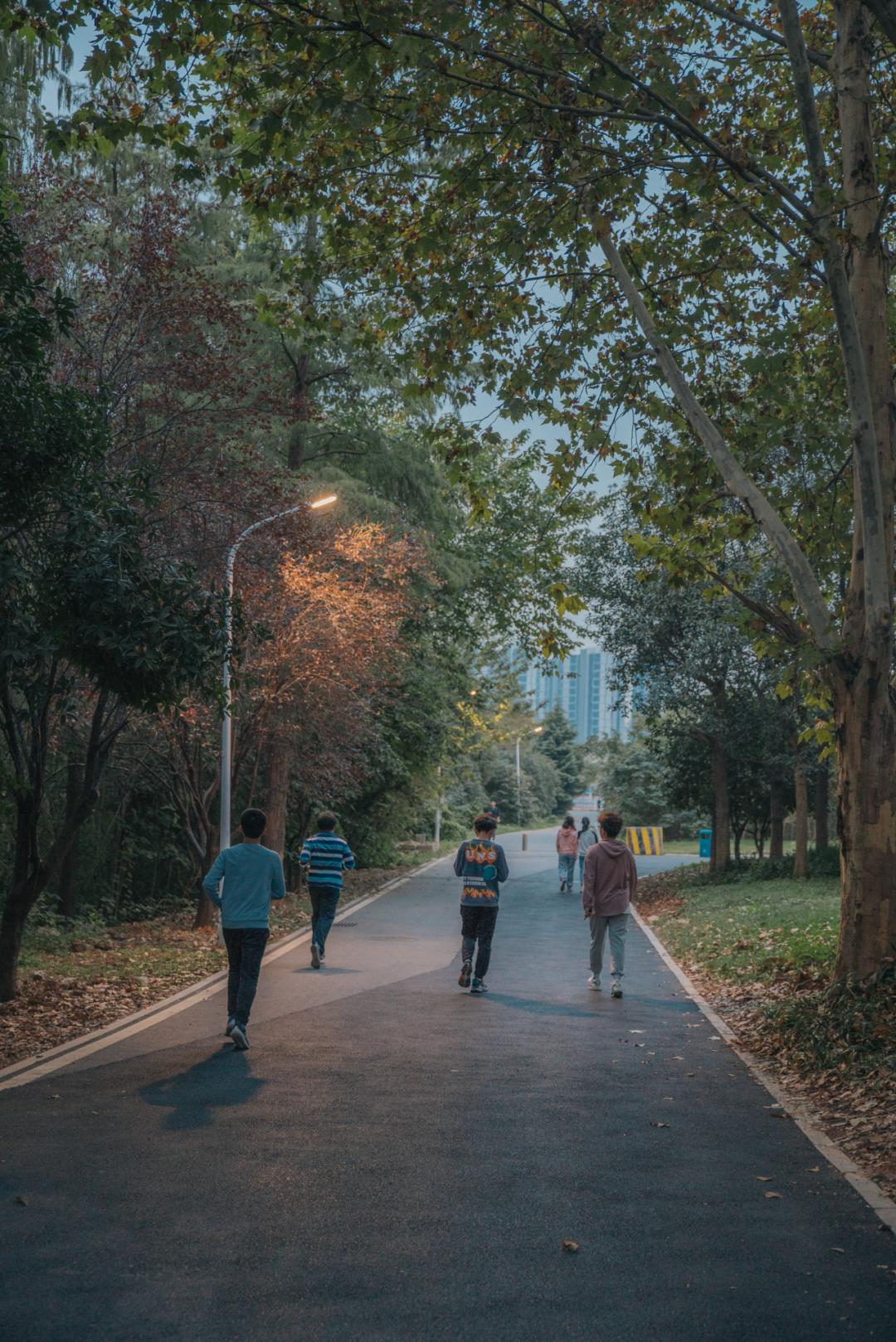 又是全国第一！华中农业大学，全体武汉人的骄傲