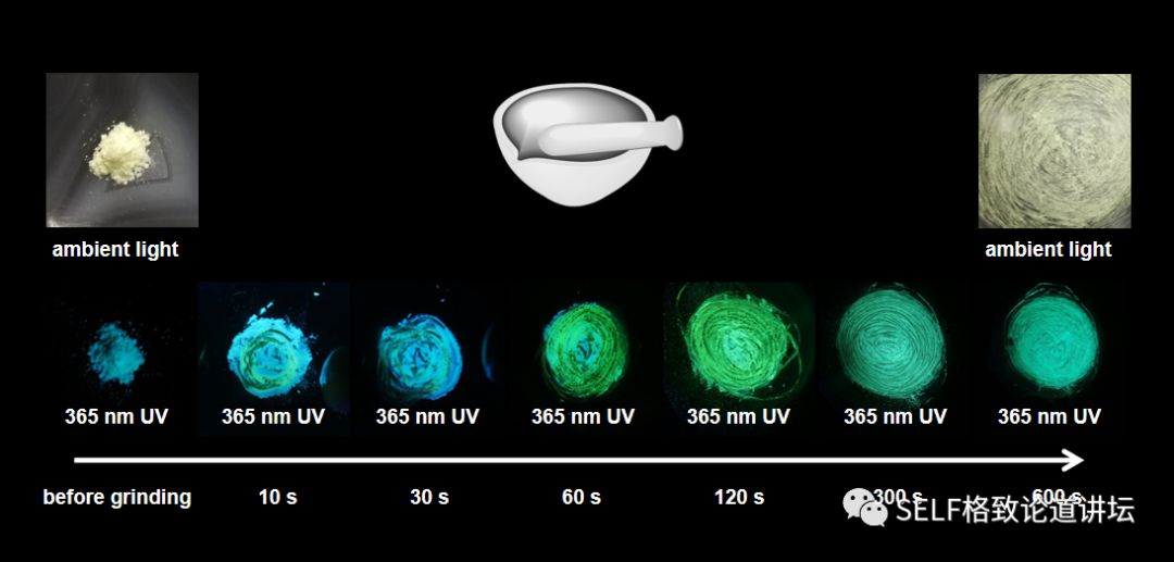 诺贝尔奖中的有机化学,为什么诺贝尔化学奖很少
