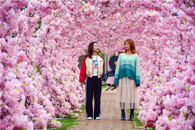 佛山三八妇女节出游,三八佛山旅游