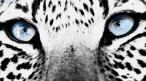 完美日记眼影盘哪个最值得买新手,被完美日记看中