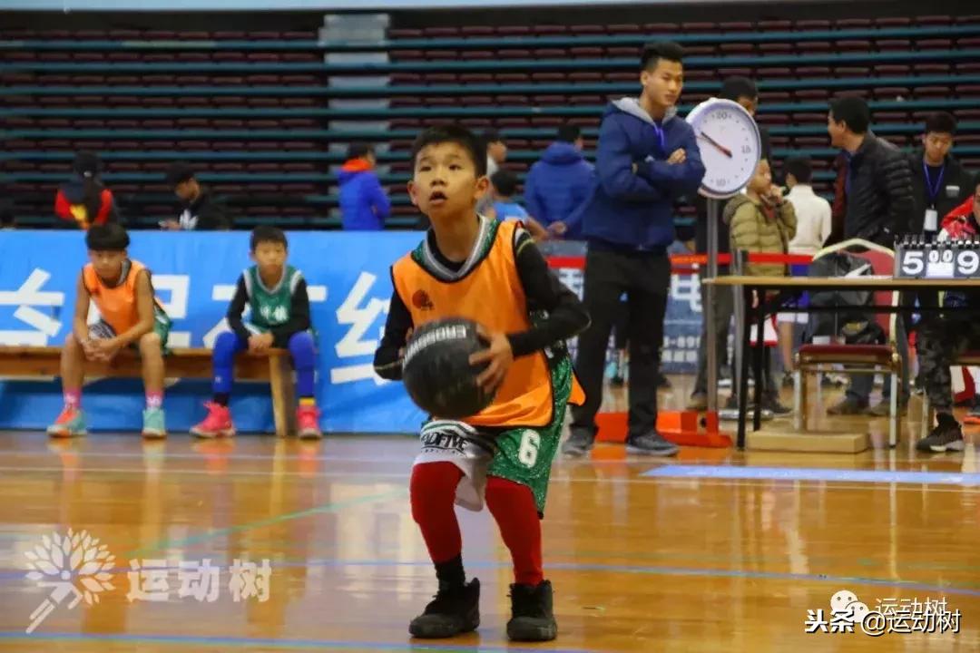 中国篮球名宿走进学校,中国篮球名宿26分