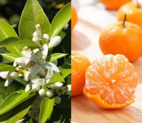 内衣裤专用除菌洗衣液推荐,内衣裤抗菌洗衣液