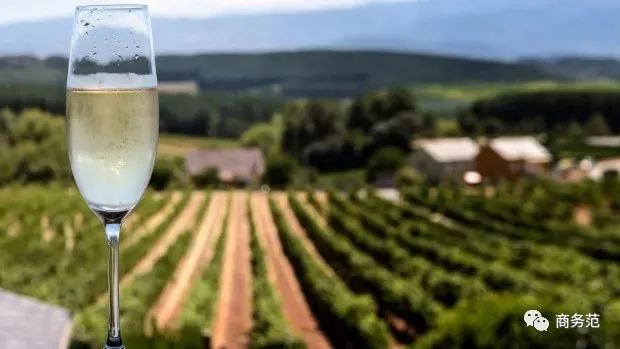 世界最好的起泡酒,列举三款世界最著名的起泡酒