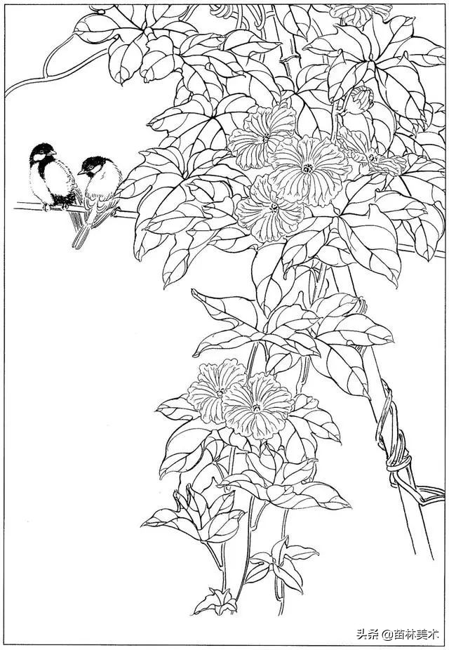 现代国画工笔花鸟白描及完整版,路雨年工笔白描花鸟团扇高清图片