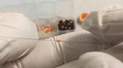 野钓调漂基础知识大全,野钓调漂最佳方法解读