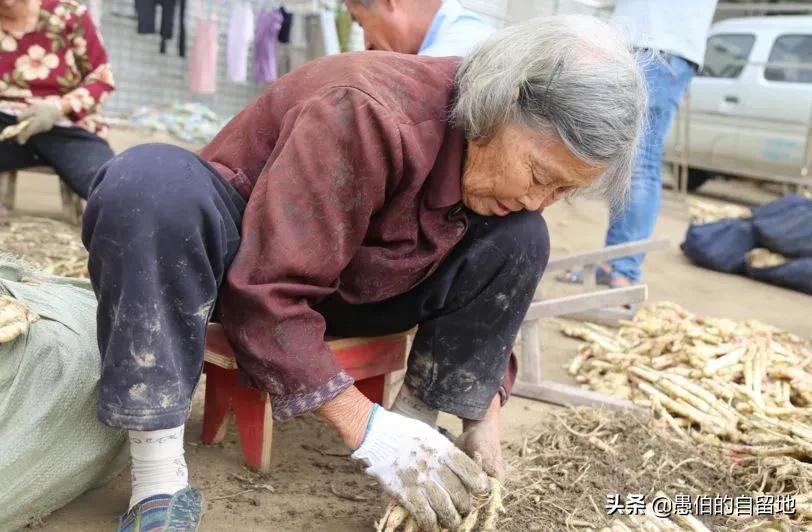 乡村纪事：偏方治大病，不识字的母亲，是个厉害的“土郎中”