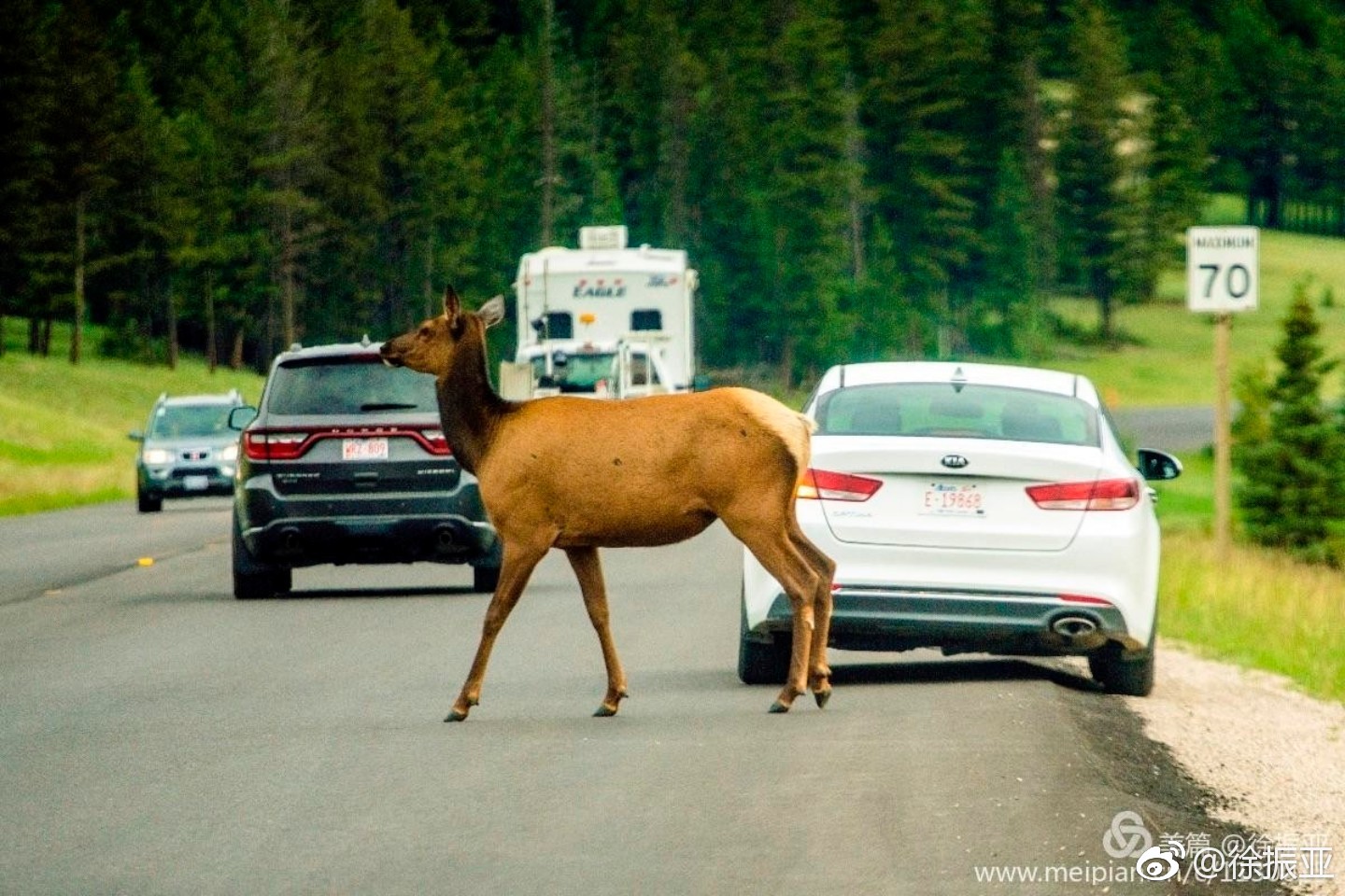 班芙国家公园,班芙国家公园照片