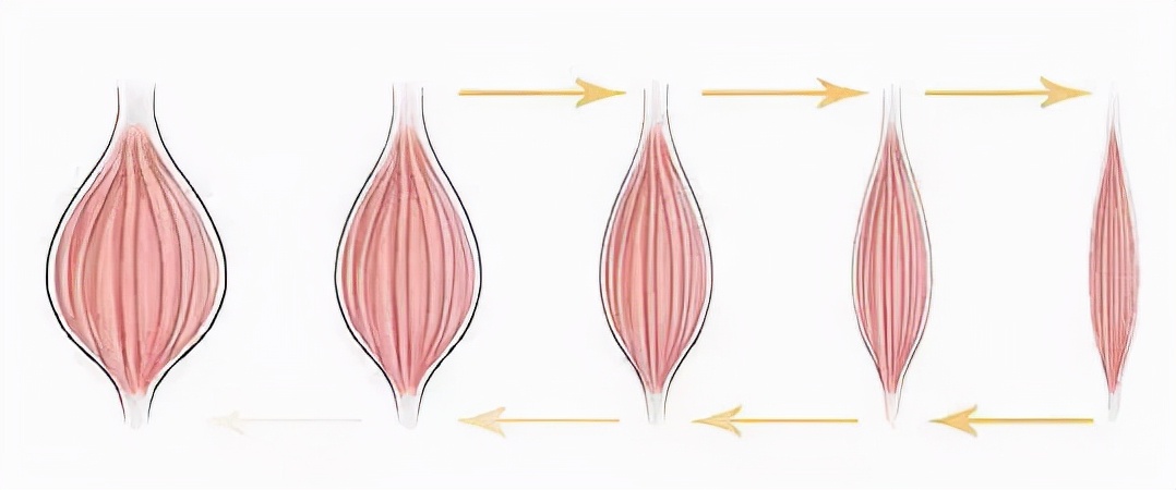 打完瘦脸针得注意什么,打完瘦脸针根本不需要忌口