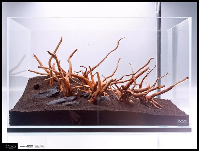 ada风格造景用什么底砂,鱼缸造景ada风格