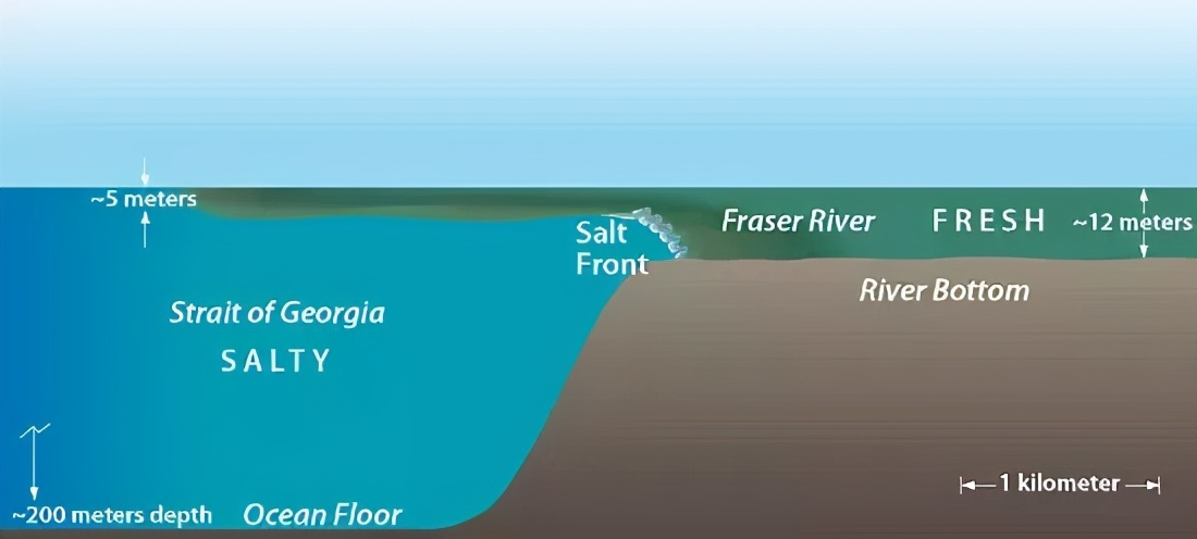 大西洋为什么和太平洋海水合并,大西洋和太平洋海水有什么区别