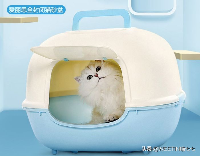 十大最鸡肋的家居神器,有哪些是鸡肋家居用品