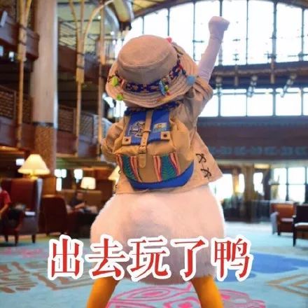 成都空港花田什么时候去最好看,双流空港花田这两天去好耍不