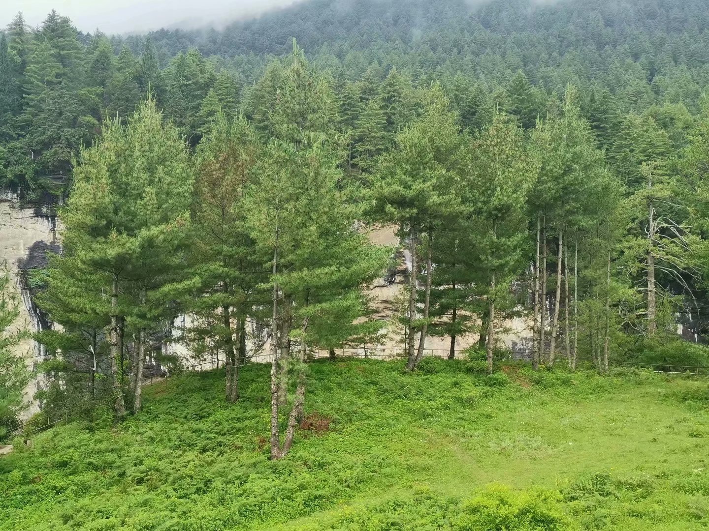 吉隆口岸旅游攻略,西藏吉隆自驾游攻略