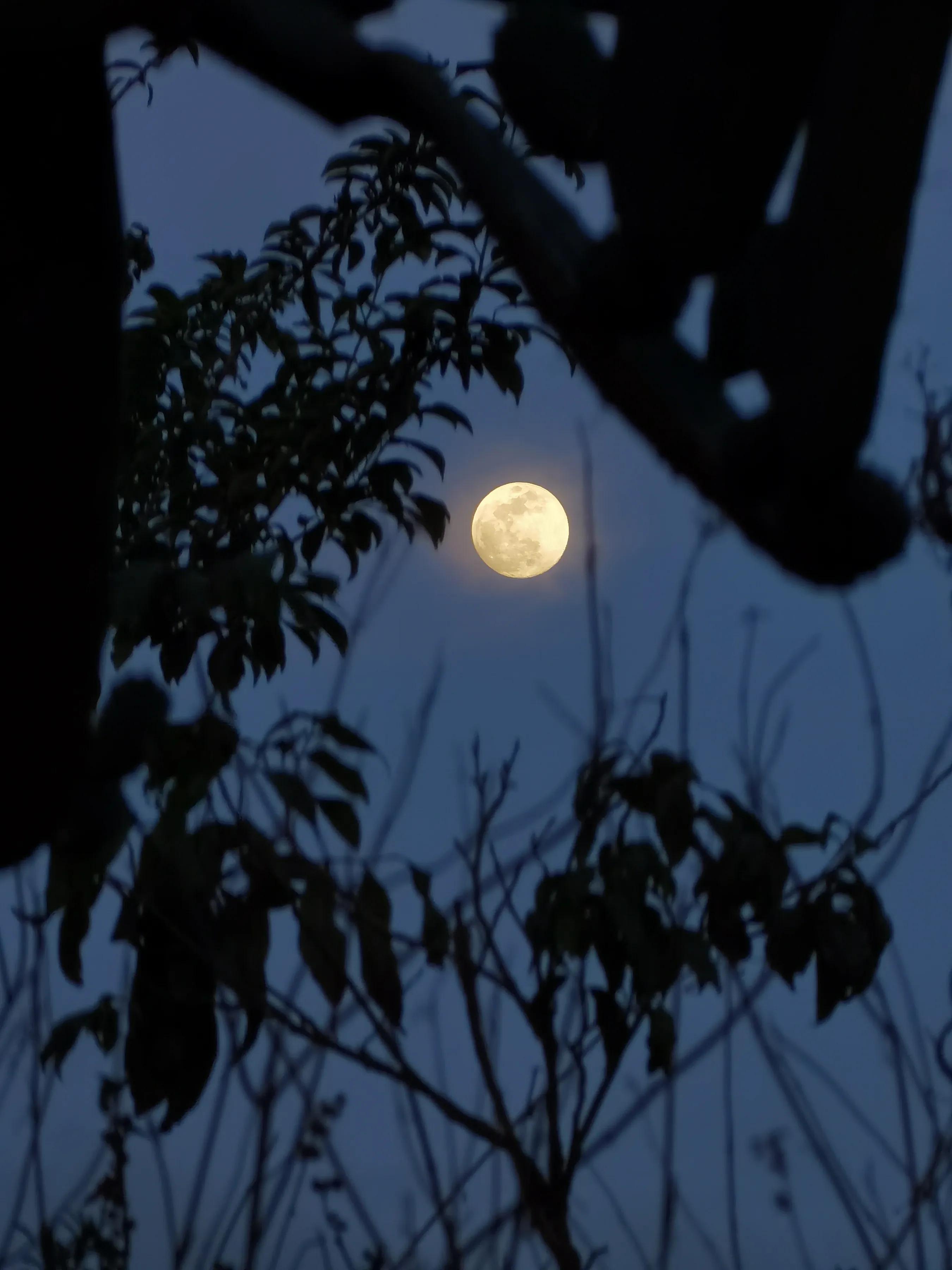 手拍世界（手机摄影平台）-群员作品集（总第671期）