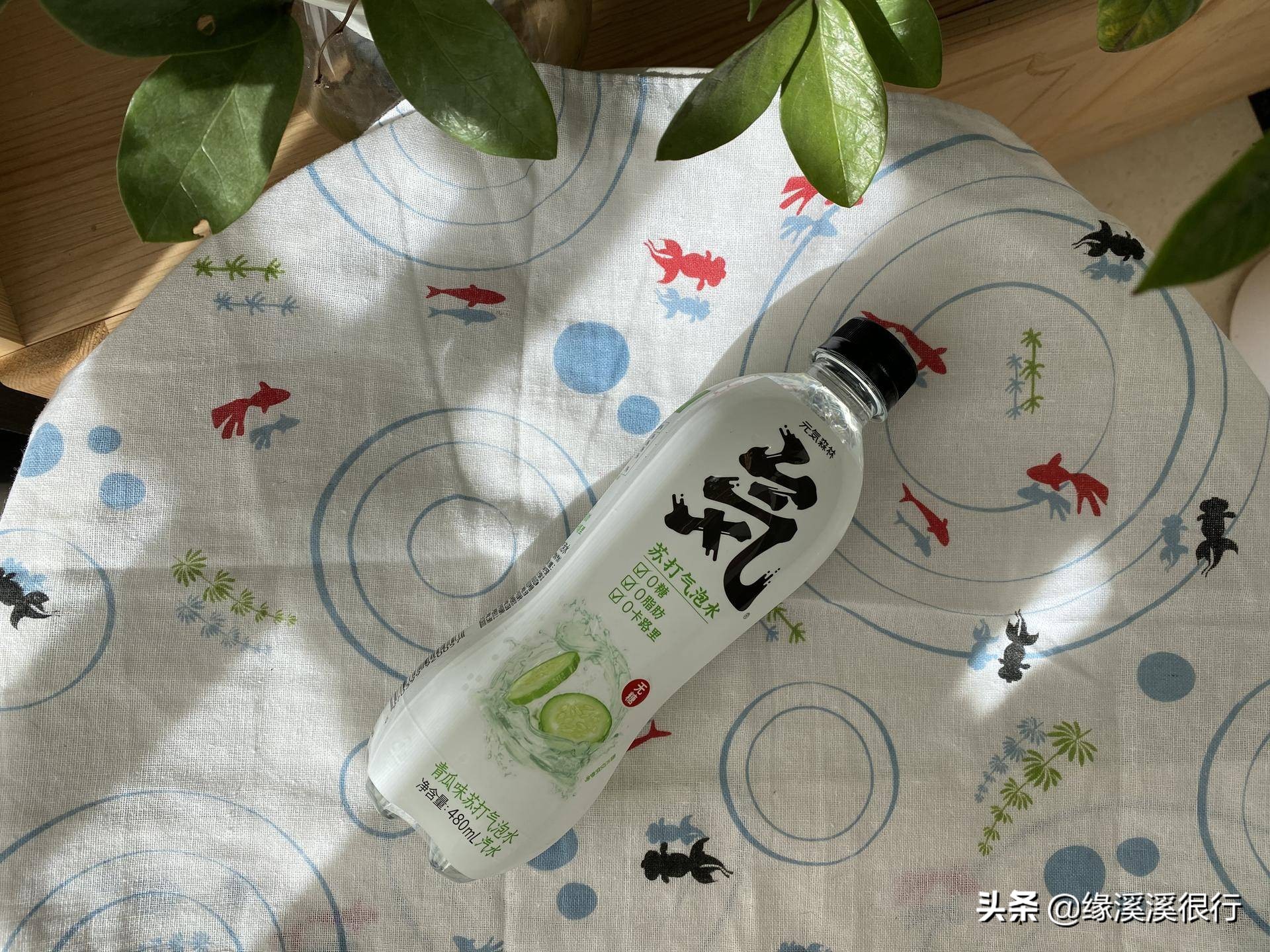 减肥期间可以喝元气森林气泡水,元气森林乳茶减脂吗