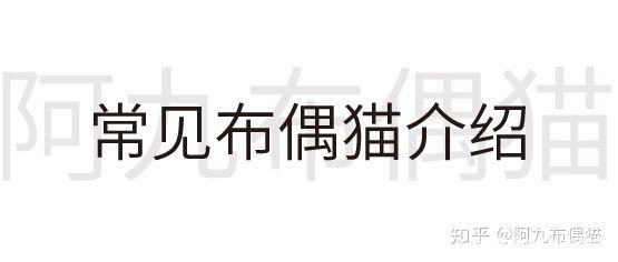 布偶猫舍推荐买什么猫粮,正规布偶猫舍推荐及其地理位置