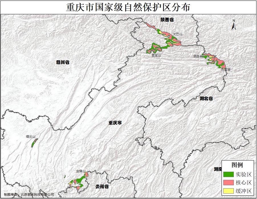 罕见柳州惊现神奇冥界之花水晶兰,珍稀罕见幽灵之花水晶兰现身重庆