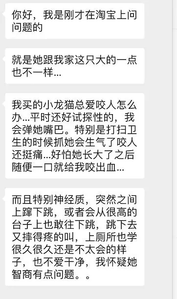 龙猫猛啃木头会把木头吃到肚子吗,龙猫激进咬毛