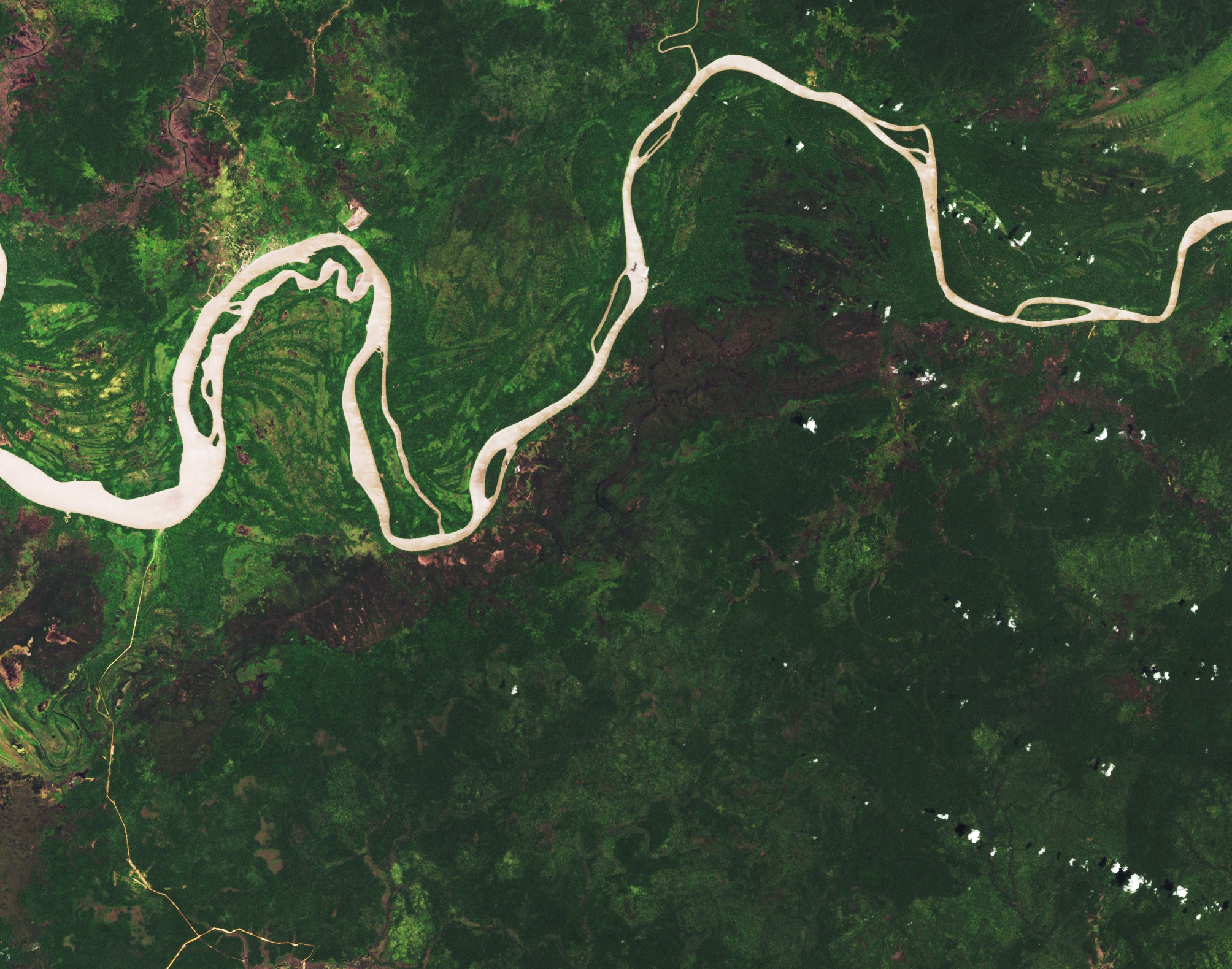 马来群岛热带雨林,马来群岛热带种植园