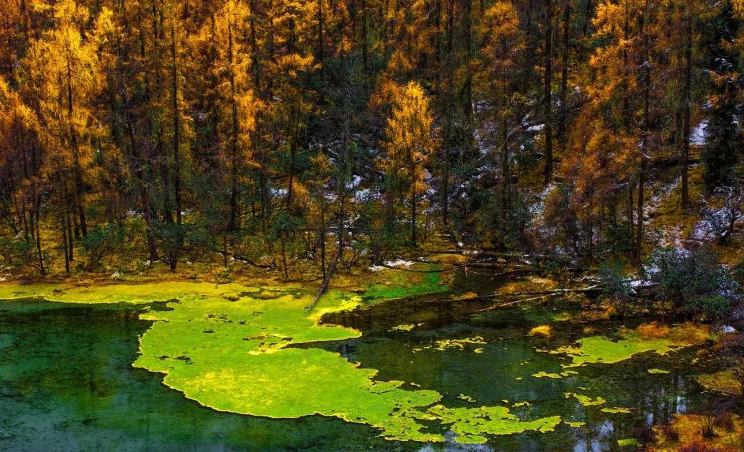 11月适合去旅行的著名风景推荐,10月11月适合旅游的地方