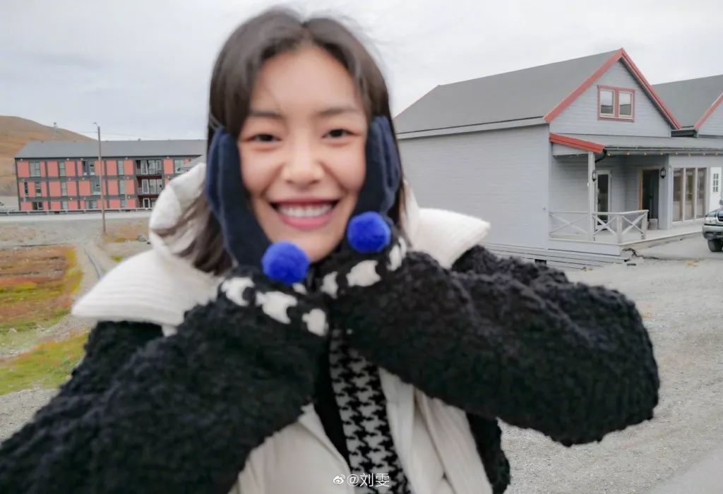 业内人士评价刘雯,刘雯到底有多难