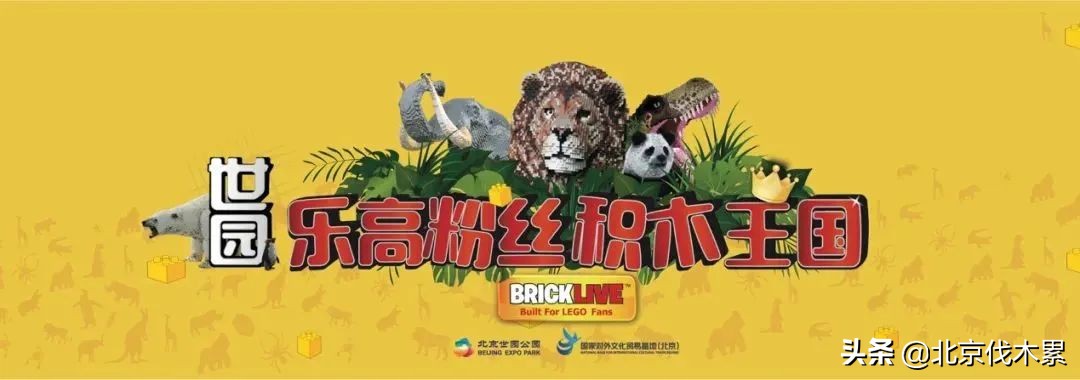 自驾游不走寻常路,不走寻常路怎么玩