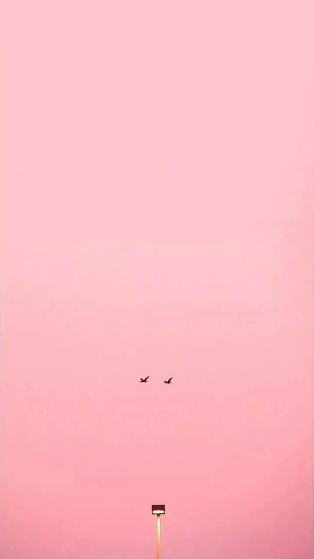 高清iphone壁纸动漫,iphone原生壁纸高清官方