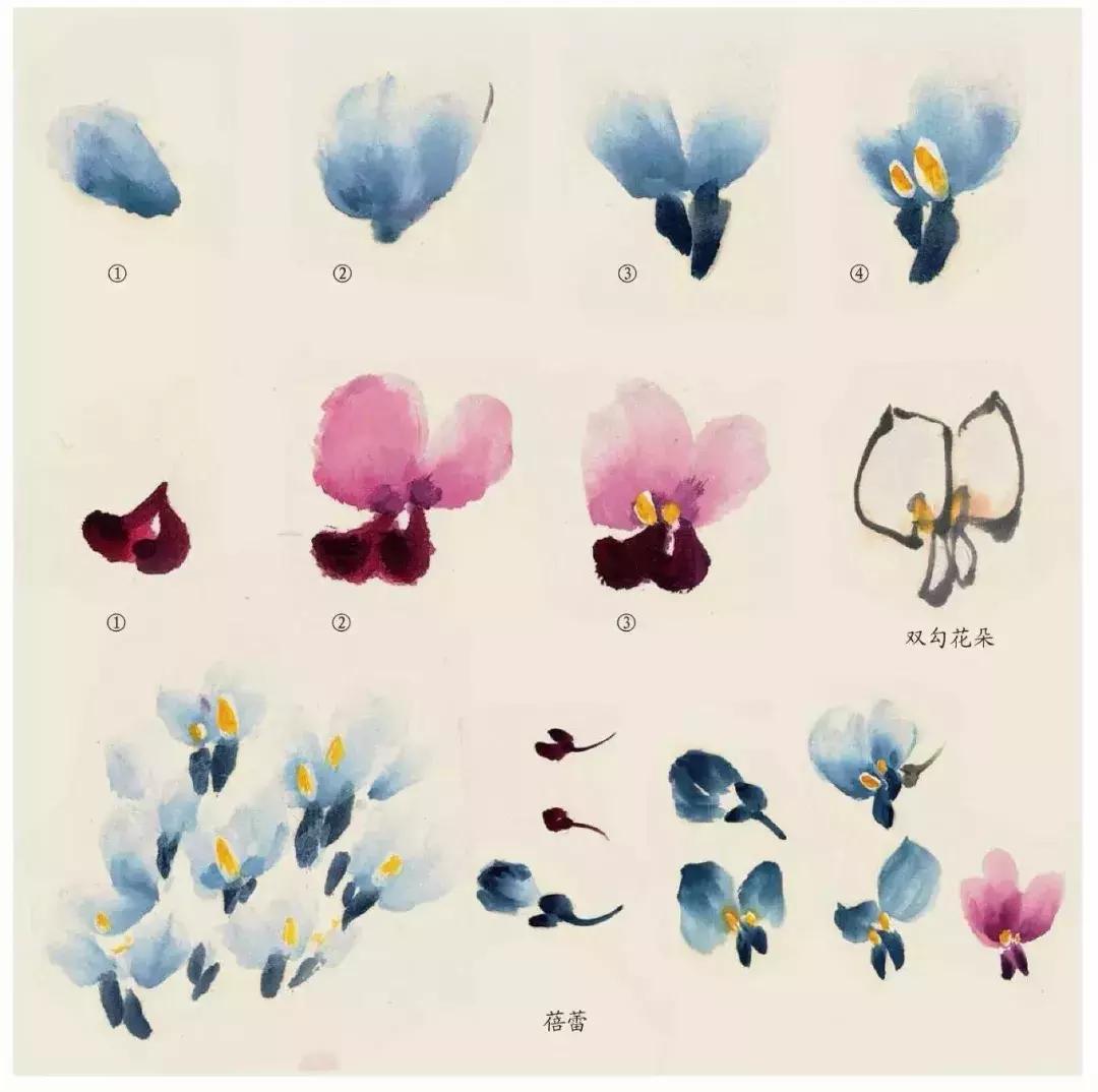 国画团扇花卉画法,国画中常见花卉的画法
