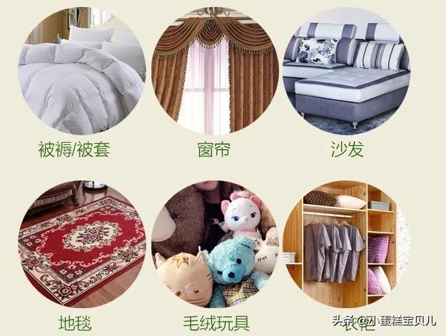 床单久睡不晒螨虫“成堆”?教你1招,不用洗不用晒,轻松除螨虫