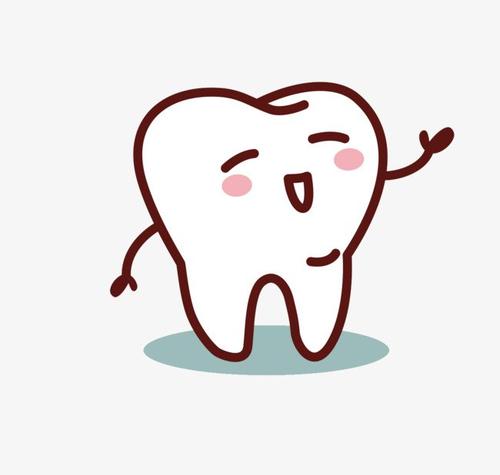 舒客电动牙刷怎么看真假,舒客电动牙刷y1怎么样