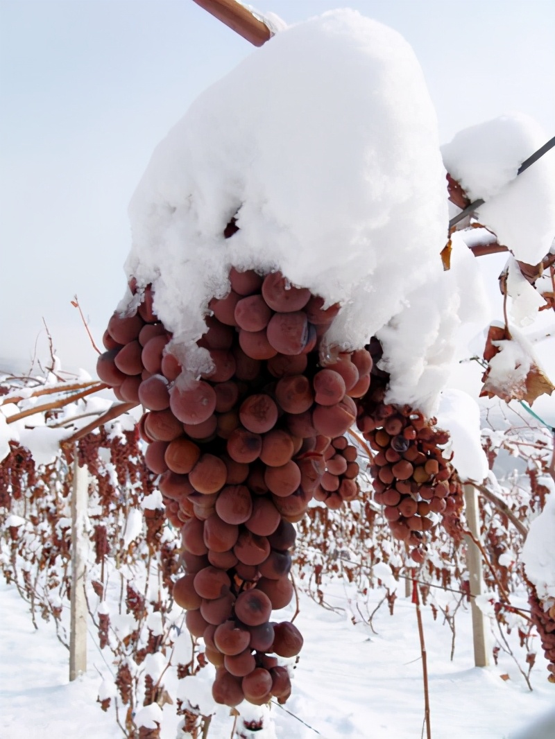 一张图卖出天价,一张图片卖出天价