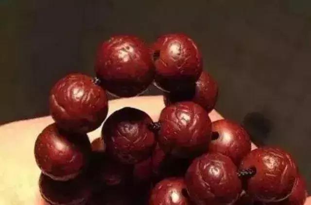 手串有白色小虫子,手串长虫子是什么原理