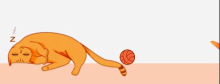 鹦鹉被主人剪断整个翅膀,鹦鹉被主人拔羽管