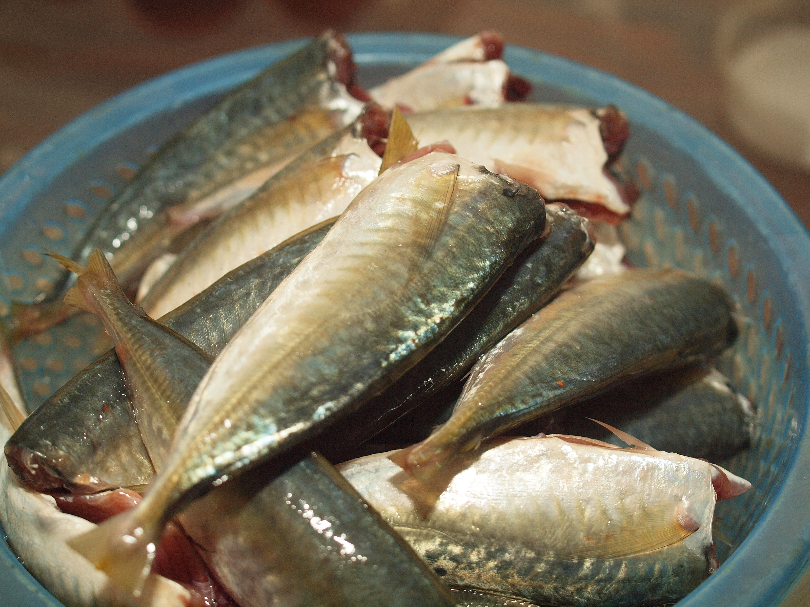 巴浪鱼能煮干饭吗,巴浪鱼做成咸鱼好吃吗