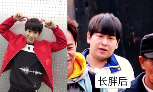 黄磊黄小厨,黄磊的黄小厨是什么