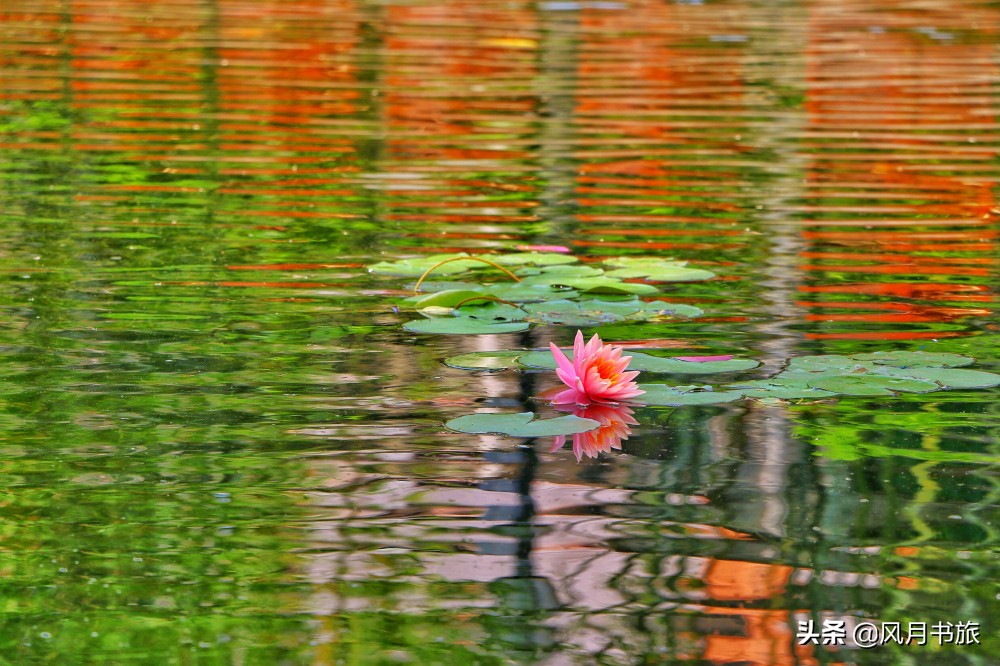 广东佛山百岁名园40年建成，关山月题名，罗哲文称它岭南第一园