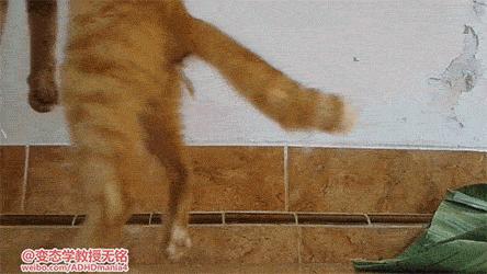 菊部周边长了个肉疙瘩,菊部旁边长了个肉疙瘩