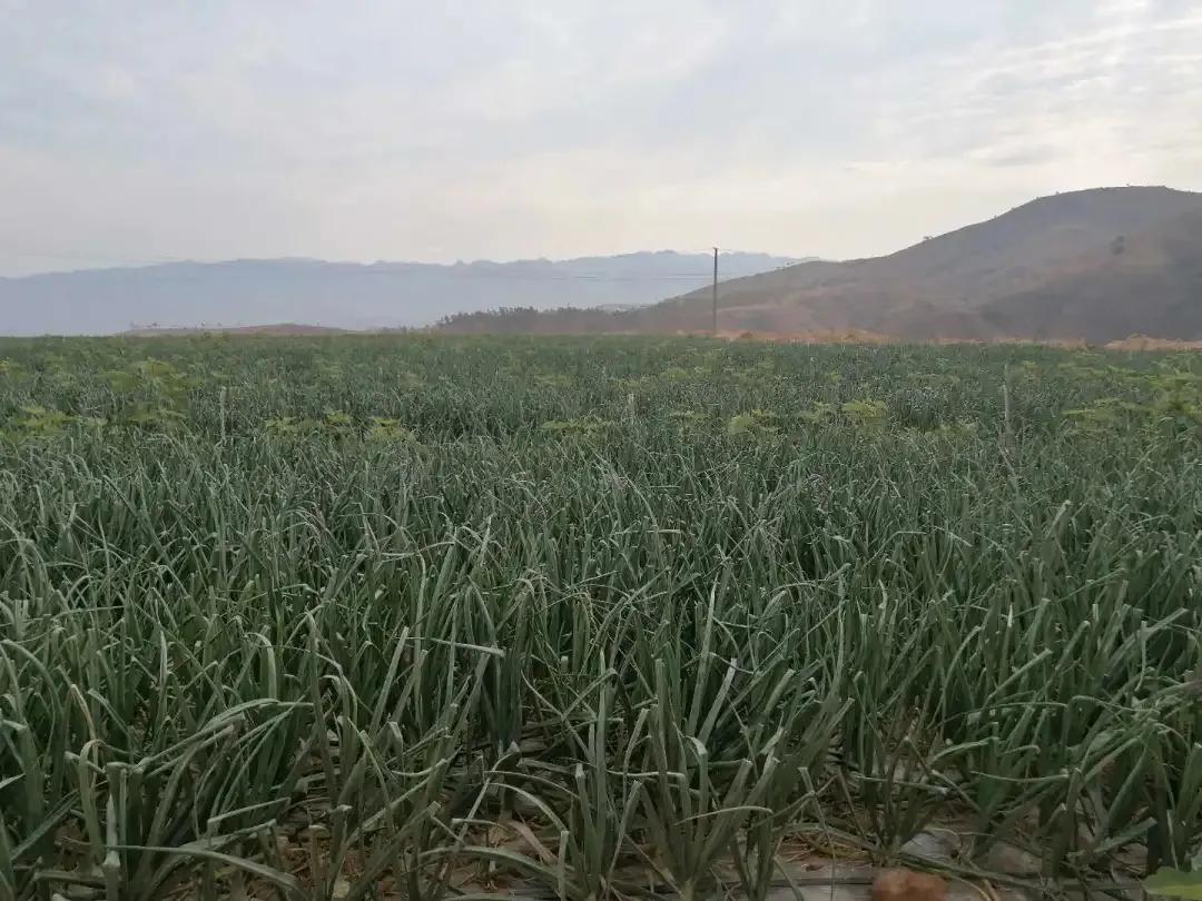 公益林毁坏如何处理,关于林地被破坏的情况通报