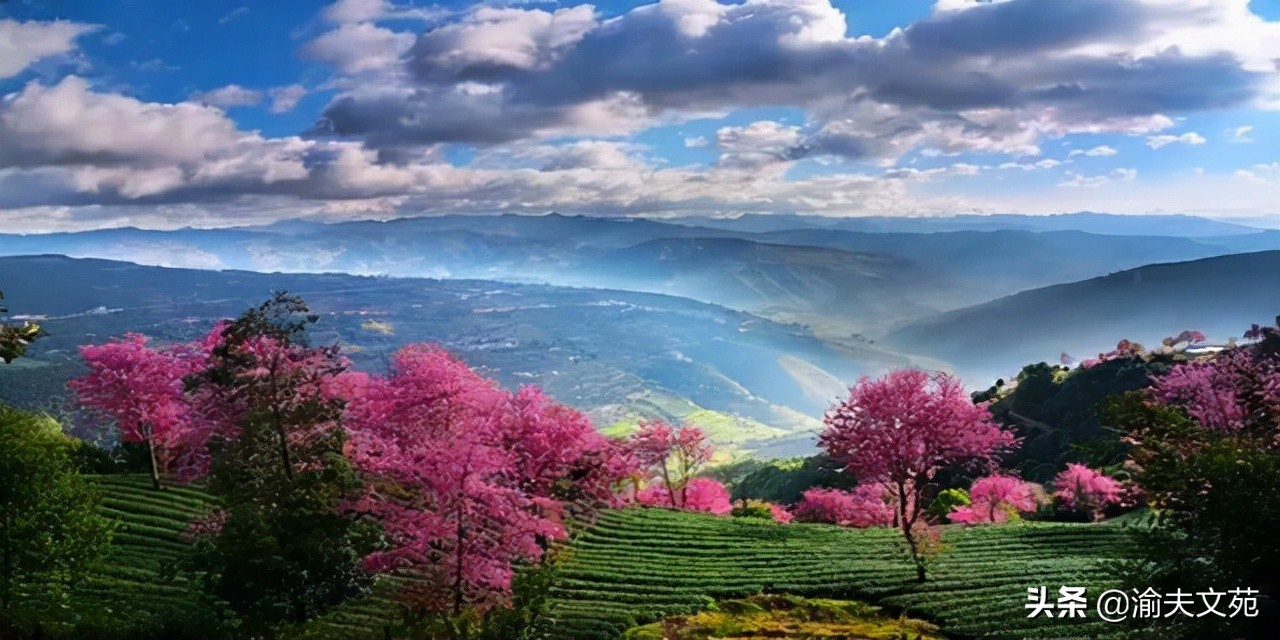 那些风花雪月的事小说在线阅读,那些年风花雪月的事小说