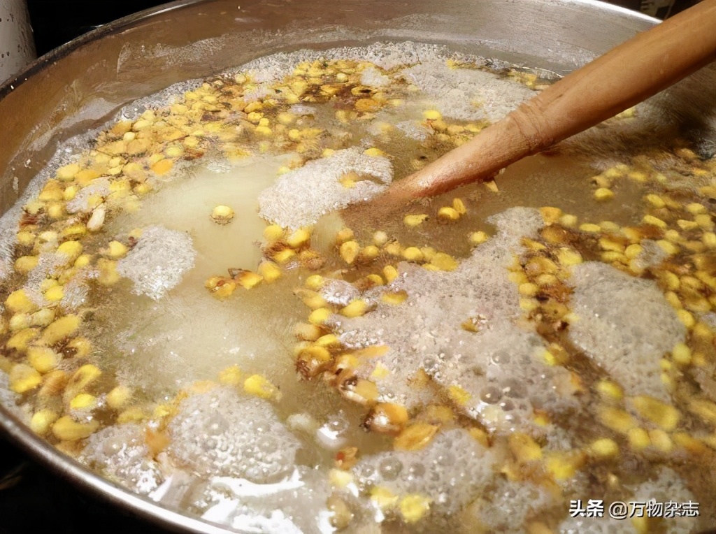 因为人类大量种植玉米，可爱的小动物吃掉了自己的孩子