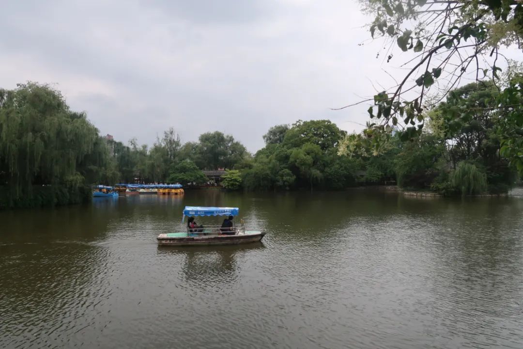 鏄嗘槑瑗垮北鍖鸿彍甯傚満,鏄嗘槑瑗垮北鍖烘槬澶忕鍐彍甯傚満