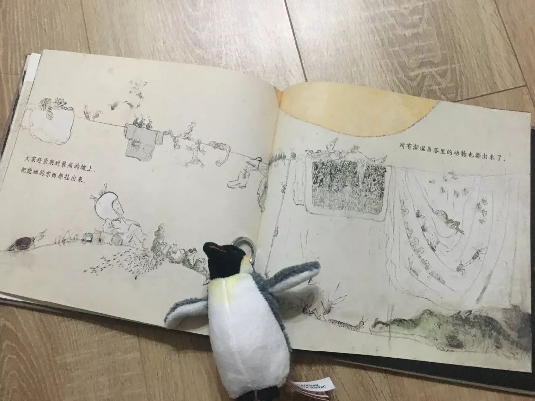 这8套大师级的中国原创绘本，用动画般的画面让孩子目不转睛