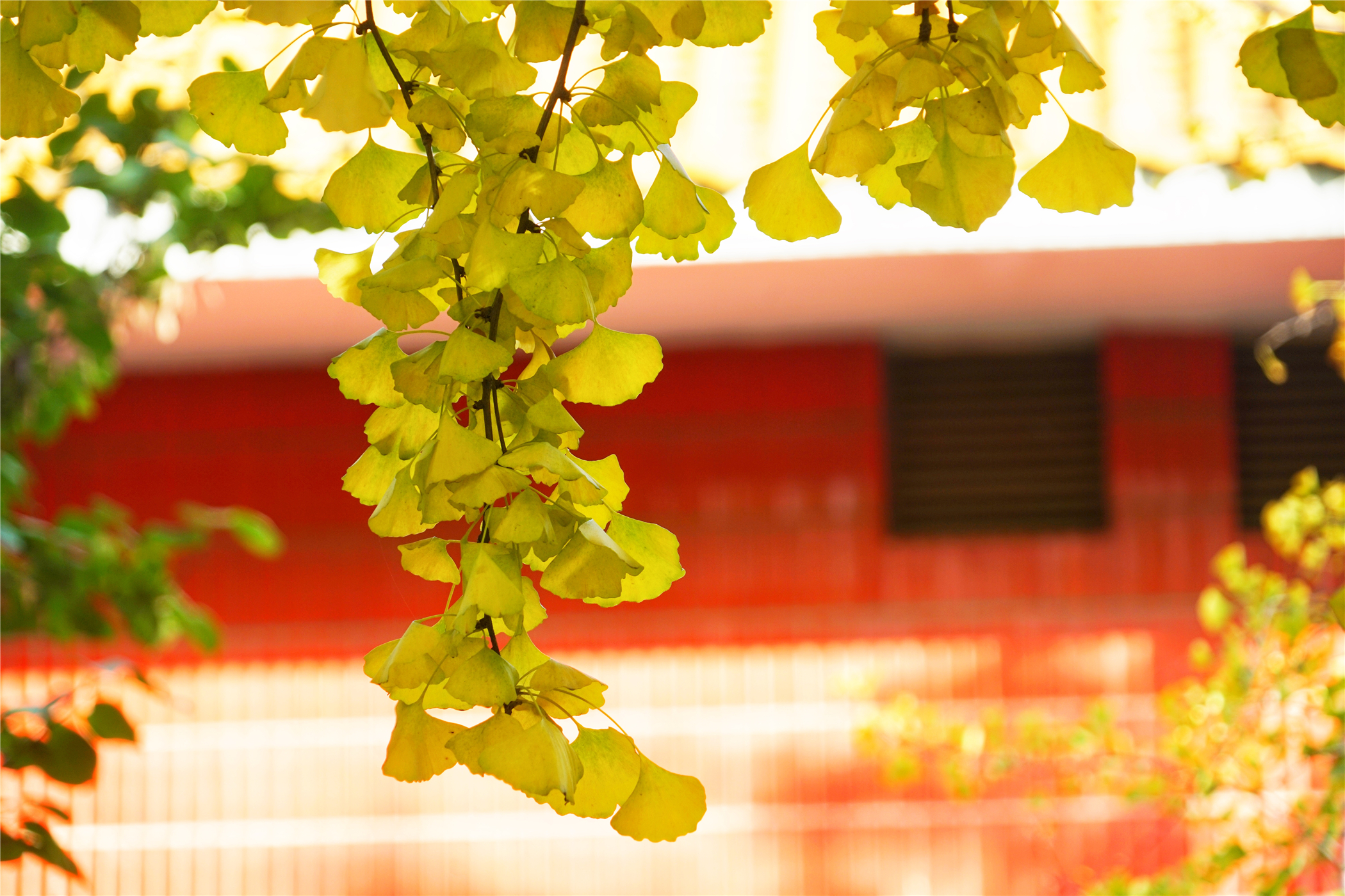 北京房山韩村河,从臭水沟到世界之巅